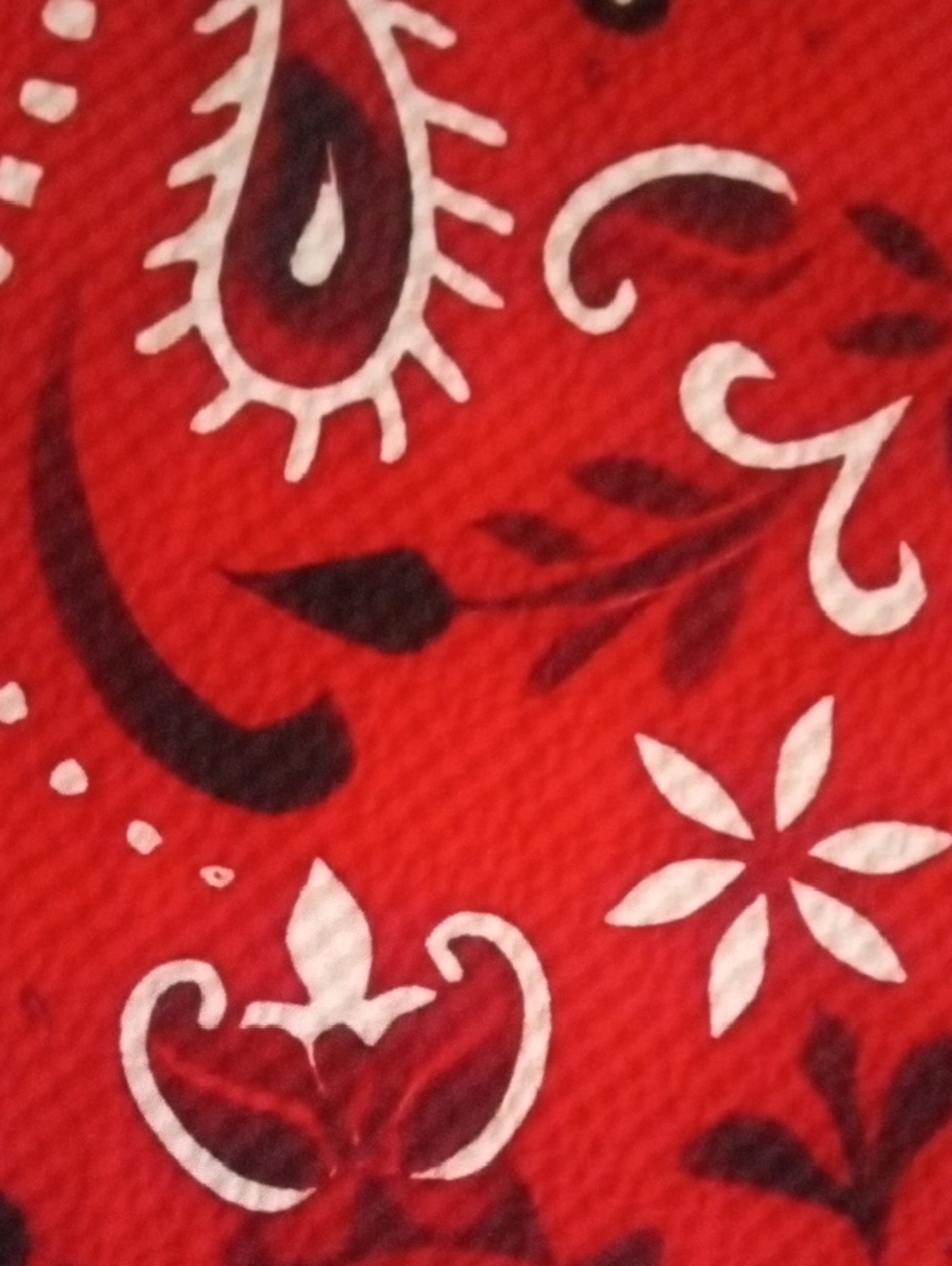 Women’s Red Paisley V-Neck Tunic Top - Bell Sleeves - Picture 11 of 13